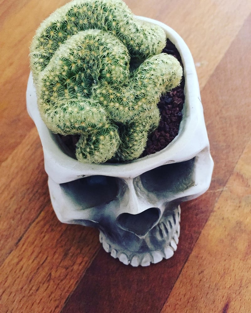 Design unique planters